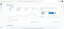 Screenshot 2024-12-07 at 10-06-53 Analytics Página principal.webp