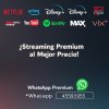 Crea una imagen impactante y minimalista para un anuncio de venta de cuentas de streaming prem...jpg