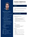 Curriculum Mario Mendoza (2).webp