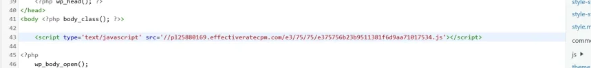 Screenshot 2025-02-19 at 12-48-11 Editar temas Sensuality18 — WordPress.webp