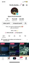 Perfil principal.webp