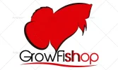 logo 4.webp