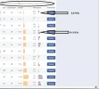 stats.webp