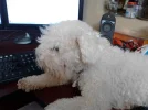 P171013_17.00.webp