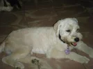 DSCF3762.webp