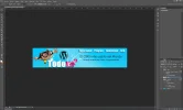 header.webp
