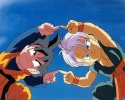 Fusion.webp