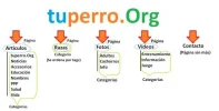 ORGANIZACION.webp