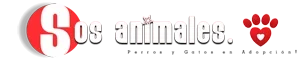 banner-sosanimales-300-60.webp