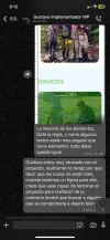 Imagen de WhatsApp 2025-04-02 a las 22.13.21_a4829e33.webp