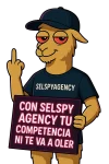 Agencia SEO Murcia - Selspy Agency.webp