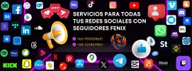 servicios para todas tus redes sociales con seguidores fenix.webp
