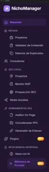 Organizar NichoManager.webp