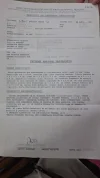 Informe Patologico.webp