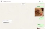 7.webp