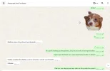 8.webp
