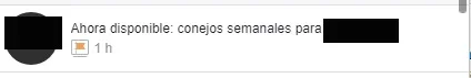 conejos.webp