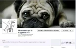 25.webp