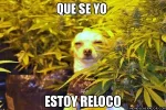 queseyo.webp queseyo.webp