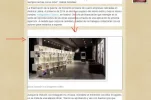 5.webp