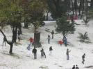 5729028.webp