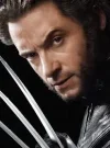 wolverine.webp