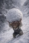 ChatGPT Image 16 feb 2026, 11_38_21 a.m..webp