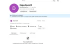 DP1.webp