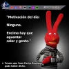 IMG-20260508-WA0000.webp
