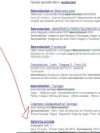 seoVolucion.webp