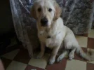 uploadfromtaptalk1389147608667.webp