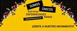 todos2.webp