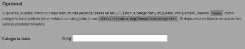 cat4.webp