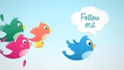 follome.webp