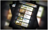 Flyers.webp