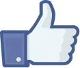 2.webp