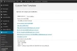 ejemplo-custom-field.webp