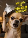 1781907484534.webp