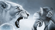 ragebait-rage.gif ragebait-rage.gif