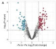 Análisis y Gráficos de Datos.webp