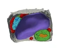 Concepción de Modelos 3D.webp