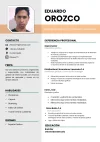 259-curriculum-vitae-con-foto_page-0001.webp