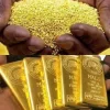 GOLD POUDRE2.webp