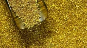 GOLD POUDRE1.webp