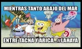 imagen-haya12.webp