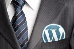 wordpress-profesional.webp