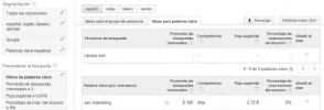 carrera seo.webp