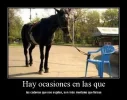 04 - Hay ocaciones en las que las cadenas que nos sujetan, son mas mentales que fisicas..webp 04 - Hay ocaciones en las que las cadenas que nos sujetan, son mas mentales que fisicas..webp