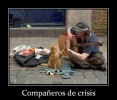 05 - Compañero de crisis.webp 05 - Compañero de crisis.webp