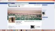 fanpage.webp